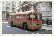 1953 London Transport AEC Regal 39 seater RF 504 (Regal Forward entrance) single deck Bus